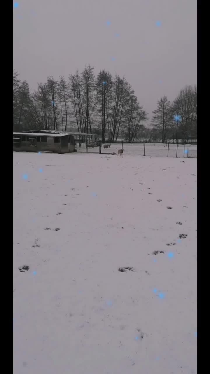 @Mimilie
