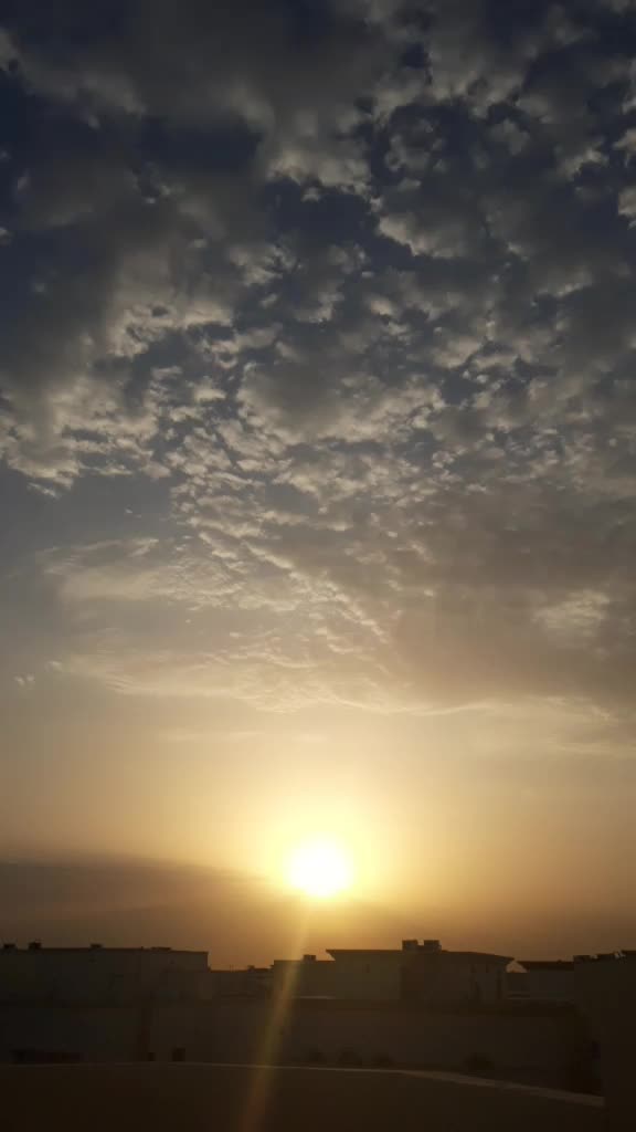 @bhuvana mani