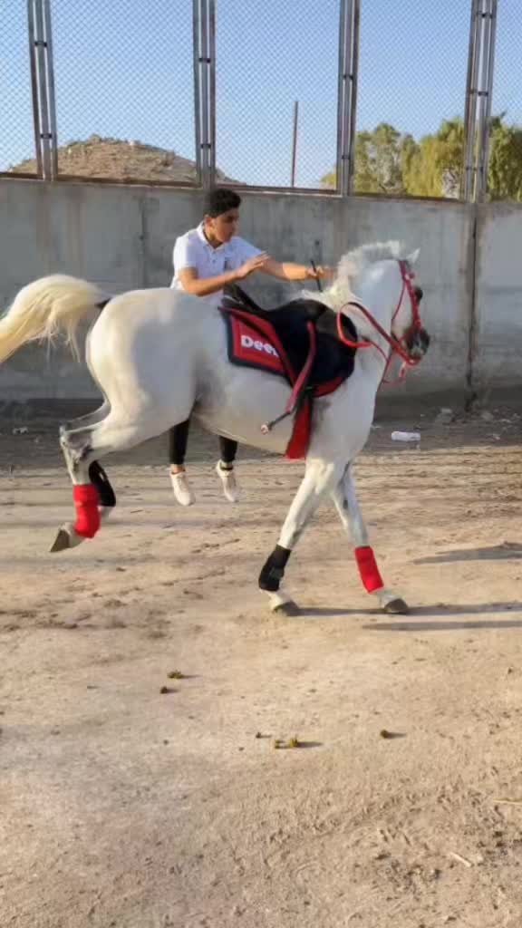 @️a7med_el_omda