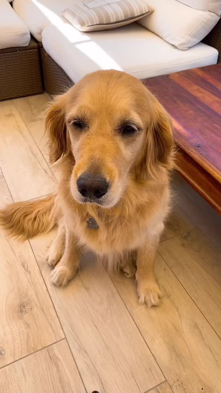 @🐶PENNY🐶