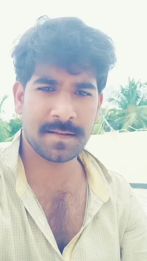 @shakir