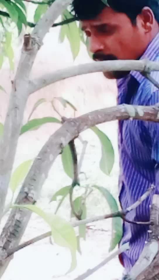 @M Ramesh