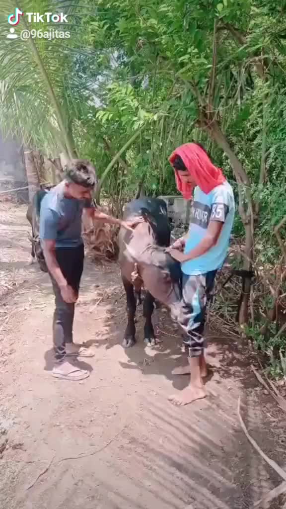 @@_ᴀᴊɪᴛ _ꜱᴜʀᴠᴇ9696_😍