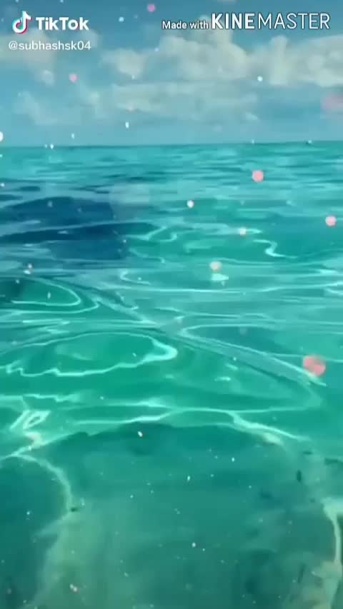 @user9676531583475