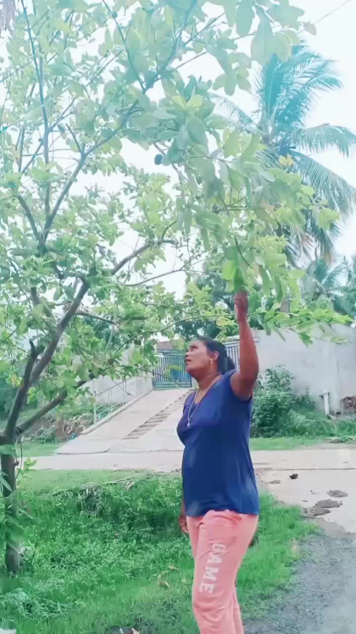 @naligala