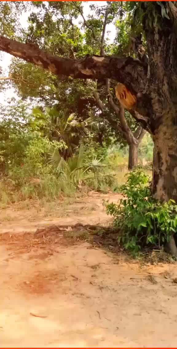 @✴Kishan Verma✴