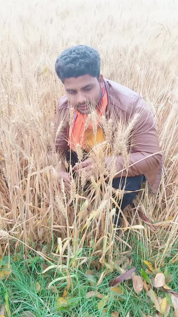 @Souraßh Patel