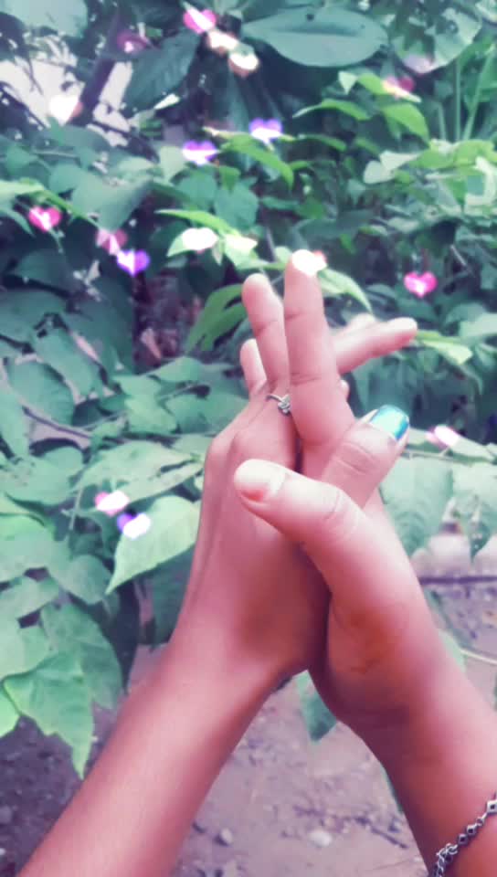 @geethu_angel