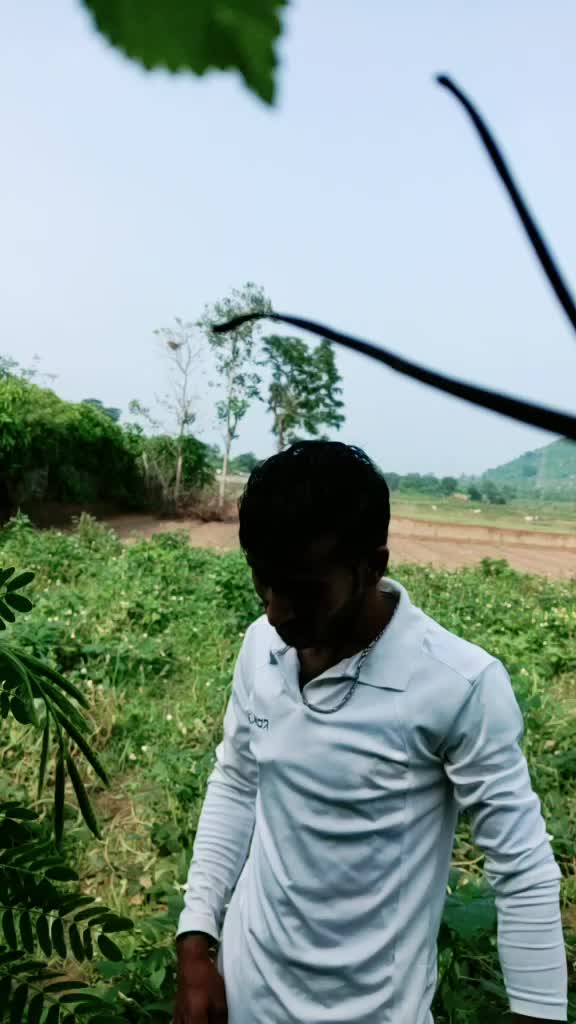 @bijoykuiry