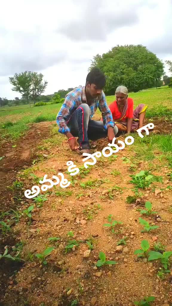 @My God🙏 Powerstar🙏