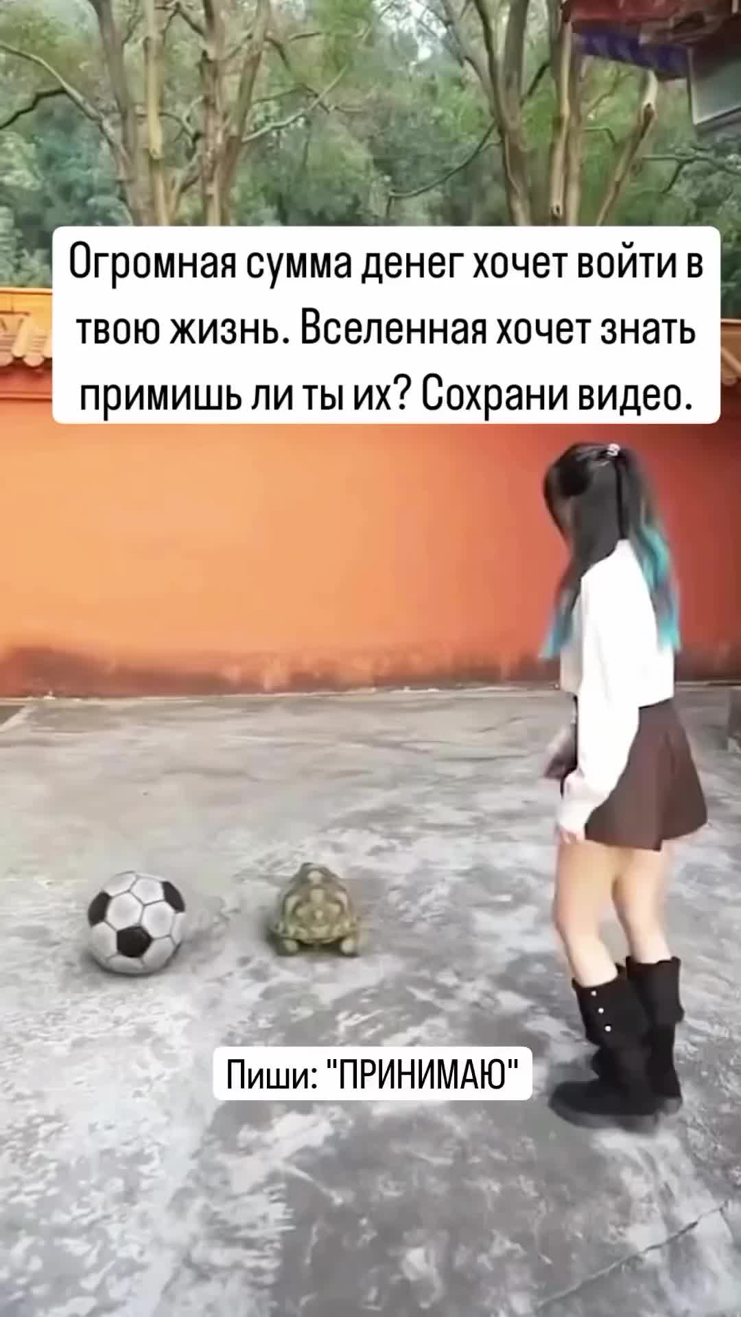 @Ekaterina_magiya_Israel