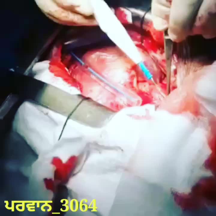 @user4894936850999