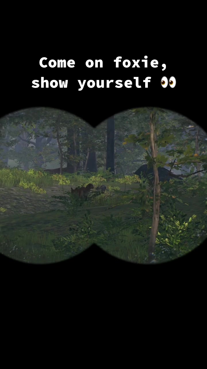 @BirdingSimulator