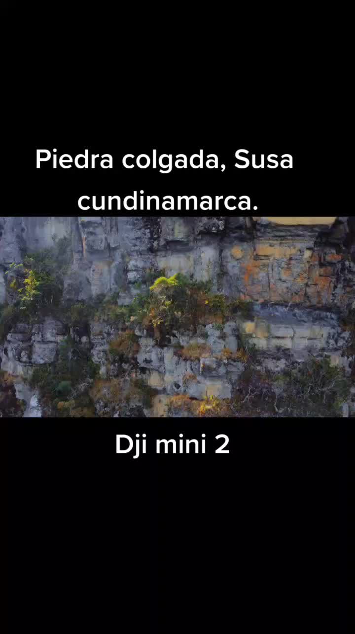 @Aleksanty