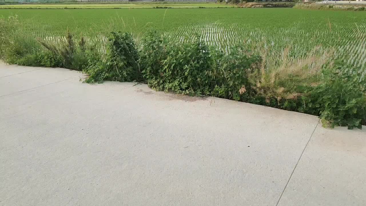 @๋์ฐ๐ถ๐