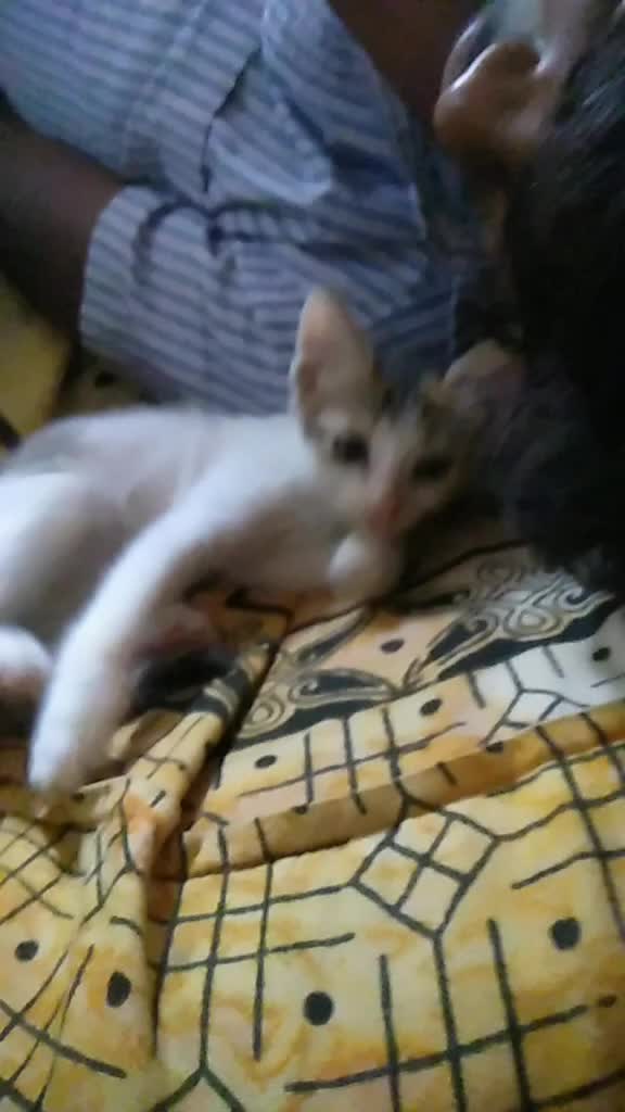 @@siva3839