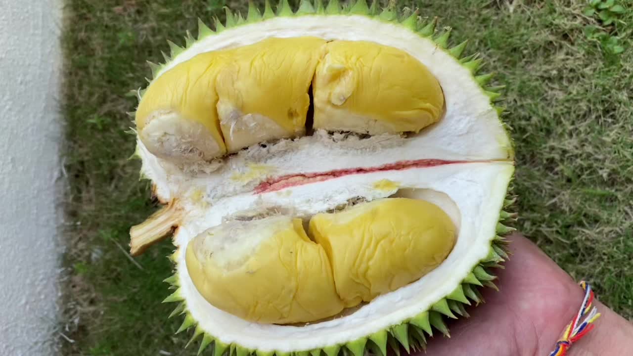 @Durian King Kaki