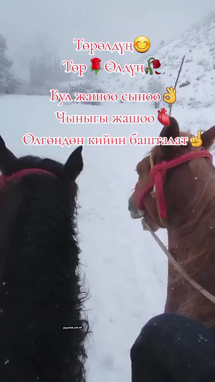 @Волейболист🏐