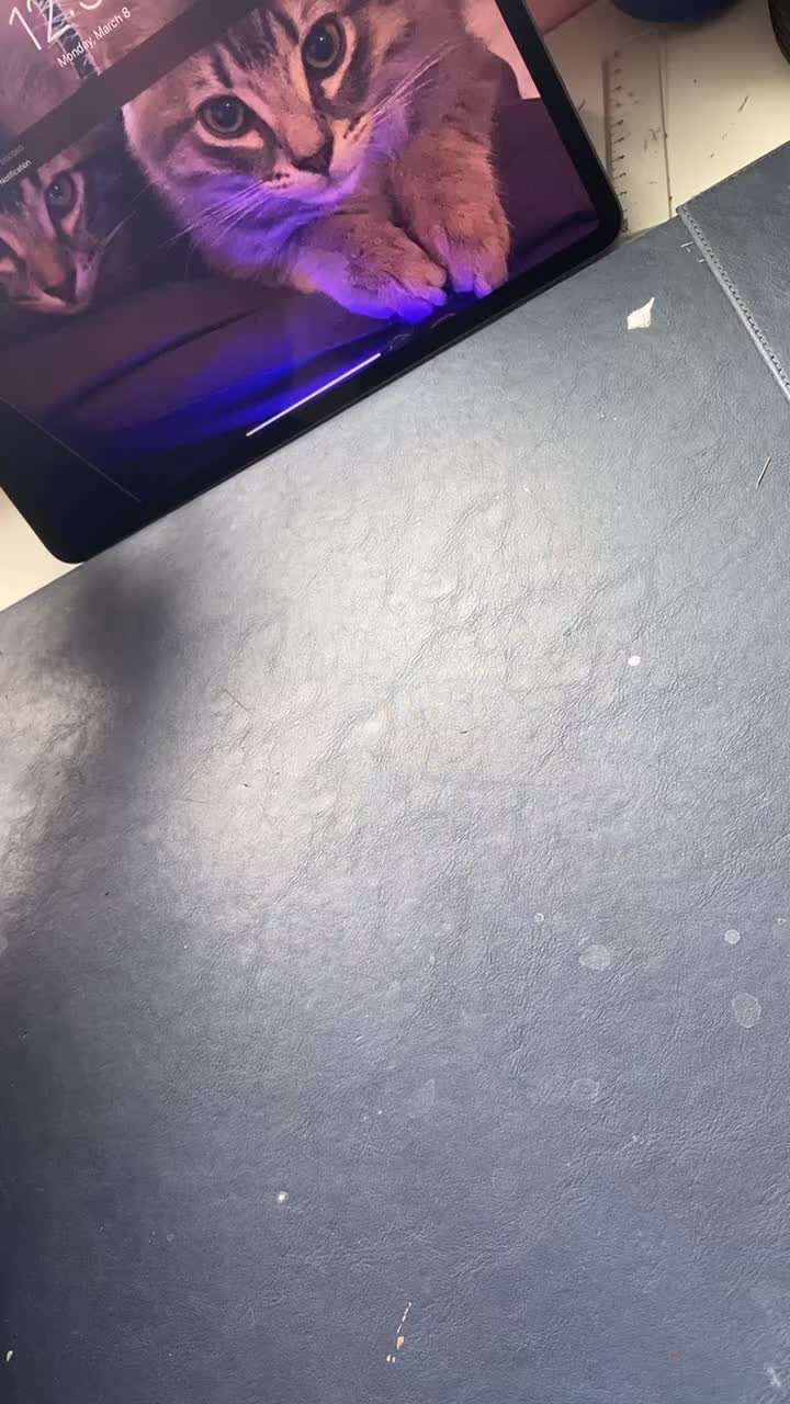 @Clomeezy
