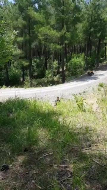 @Burhan Kaytan