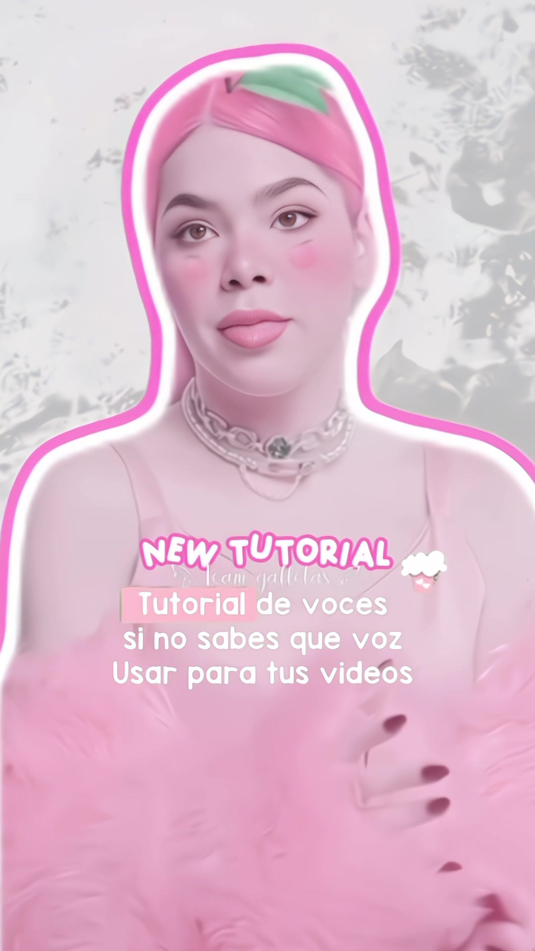 @team.galletitas