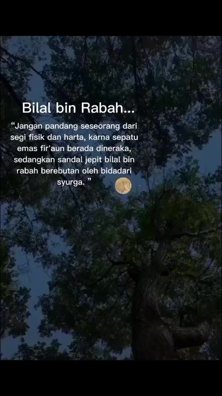 @tali rapia