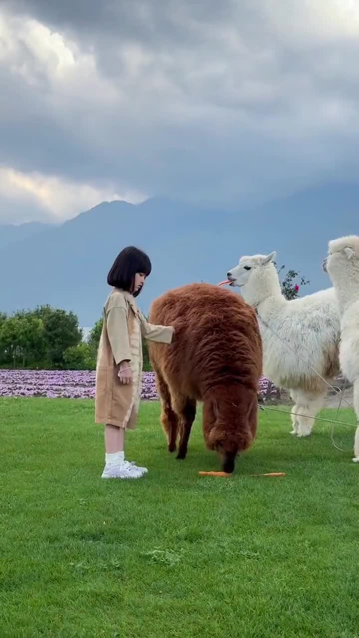 @Li luoan