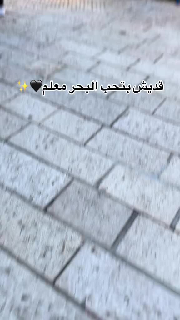 @๐๐๐๐ ๐ค