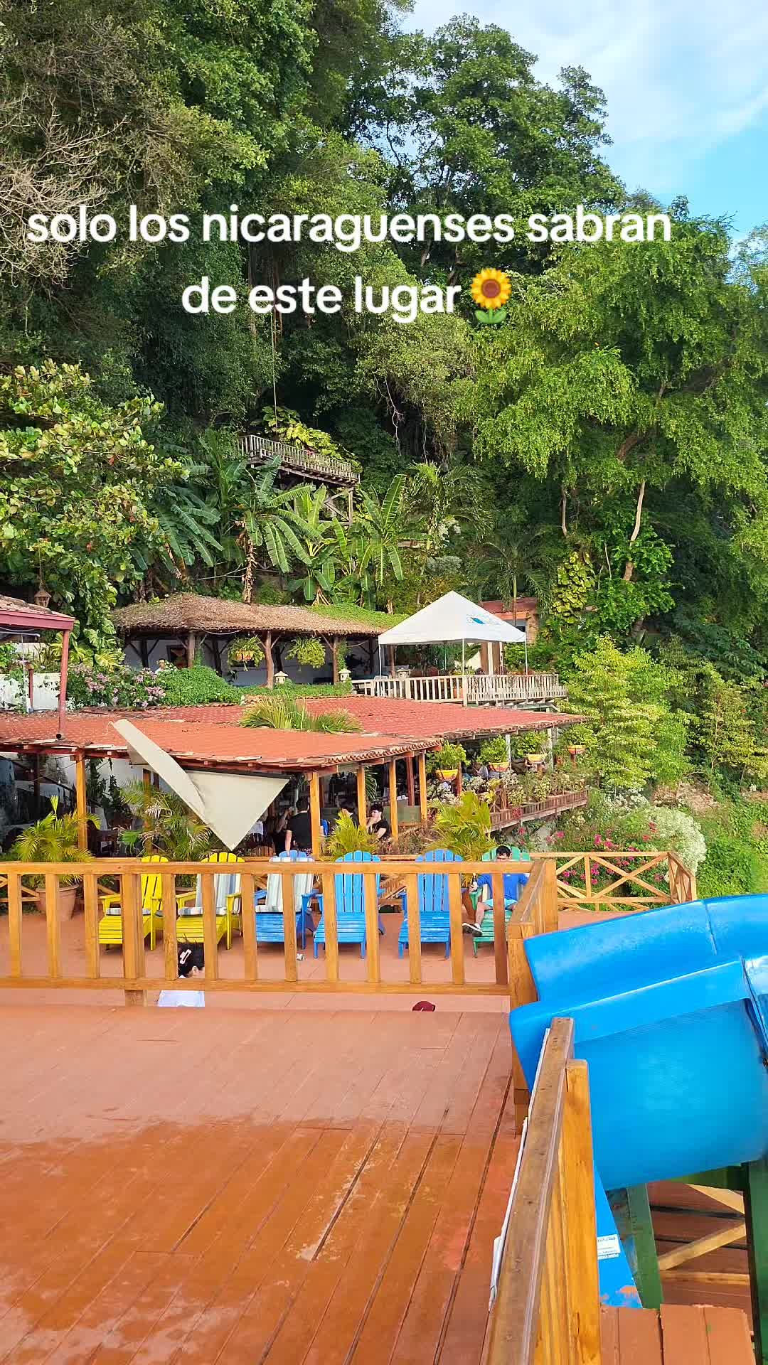 @La Eterna Girasol 🌻