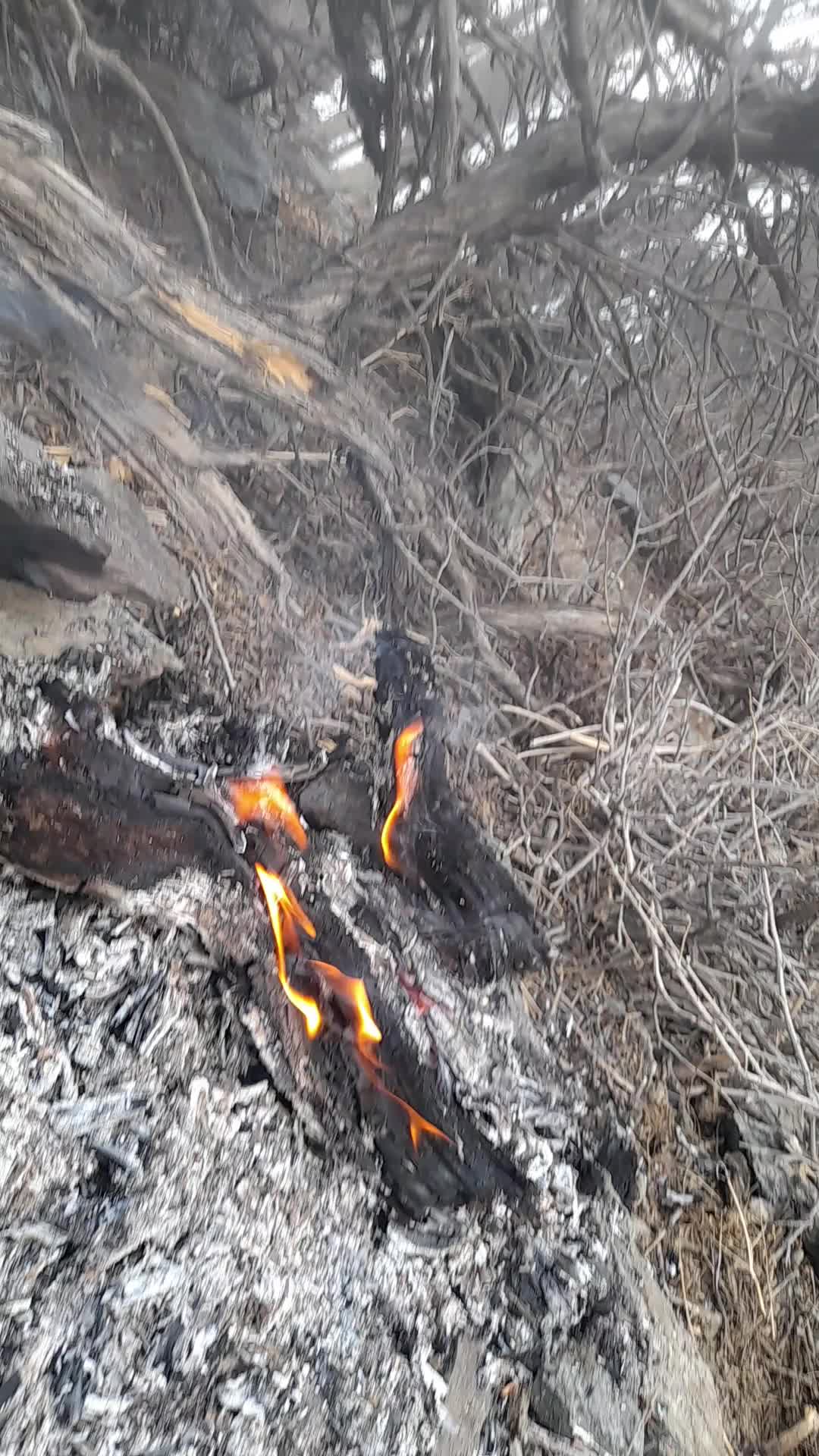 @Kahar__