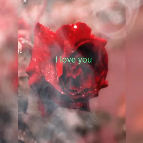 @SANDHYARANI SAHOO
