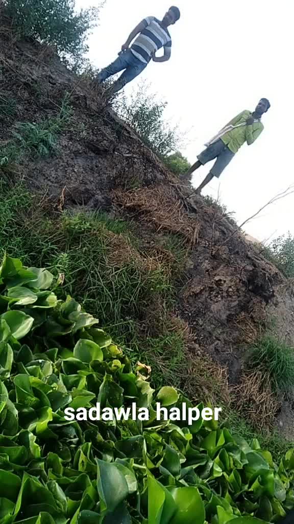@Laddi Thakur