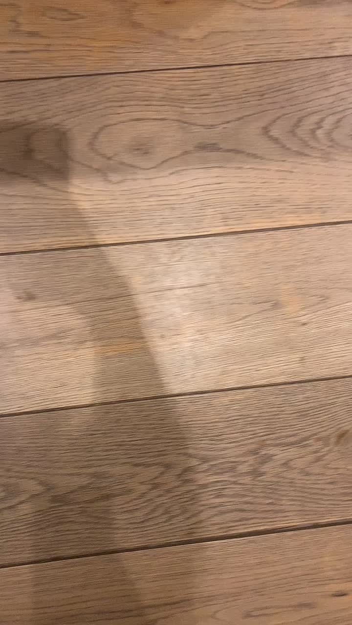 @Just that adorable pup