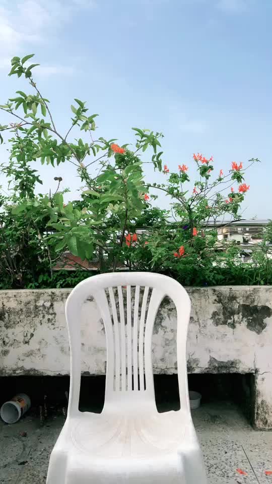 @Pk Soni Basreja