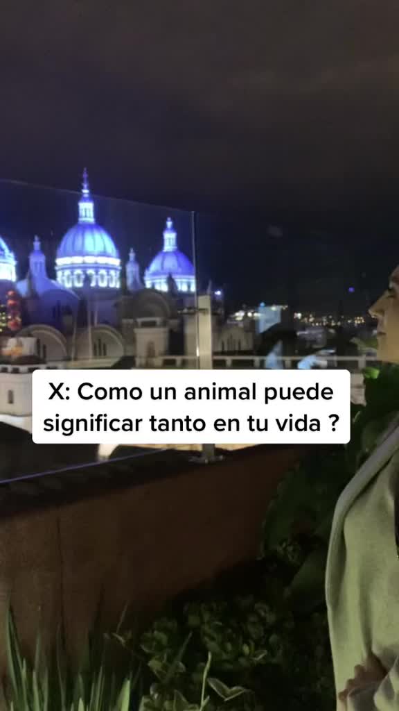 @Andrea Reyes