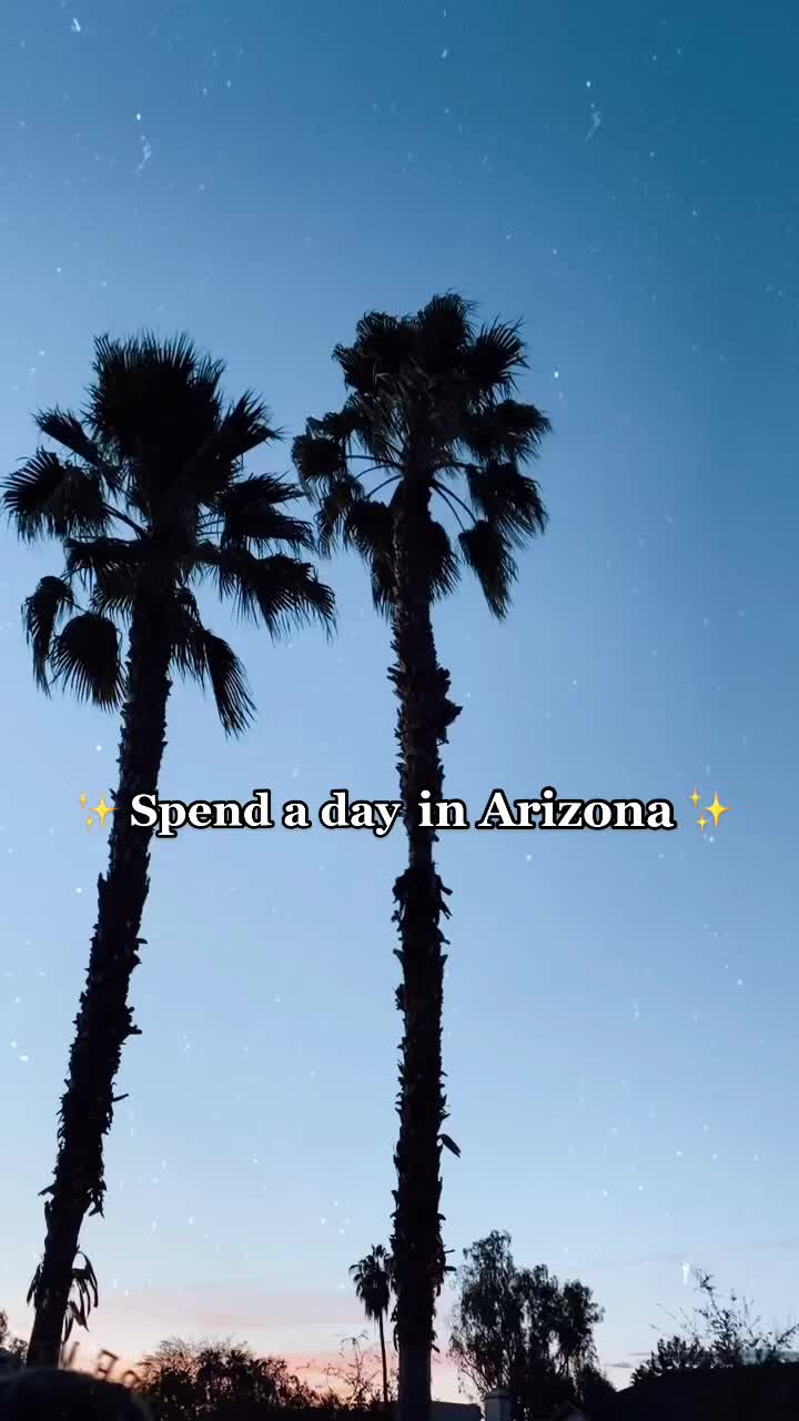 @azsipsters