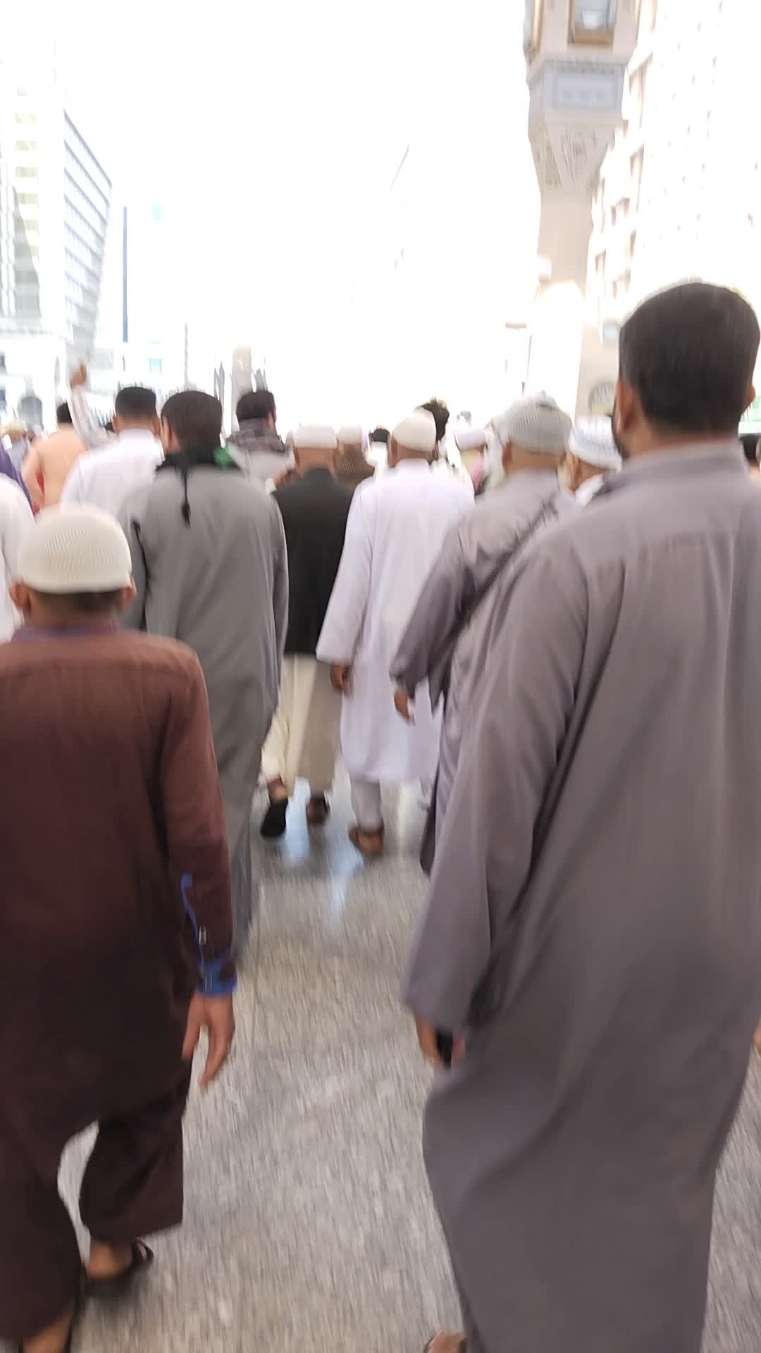 @👈جیو آرادگروپ 127بریڈ💪