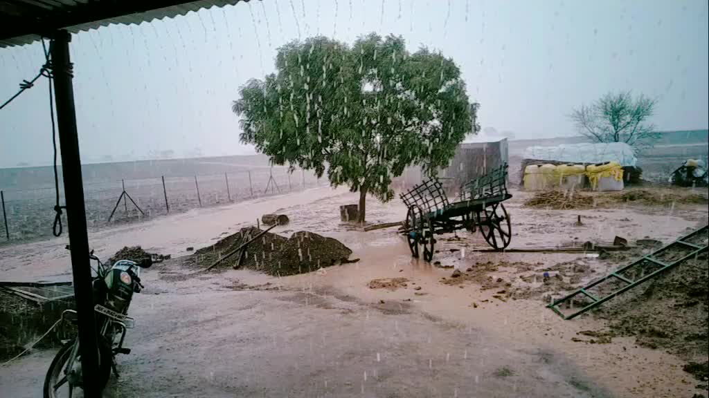 @pradeep gajre patil