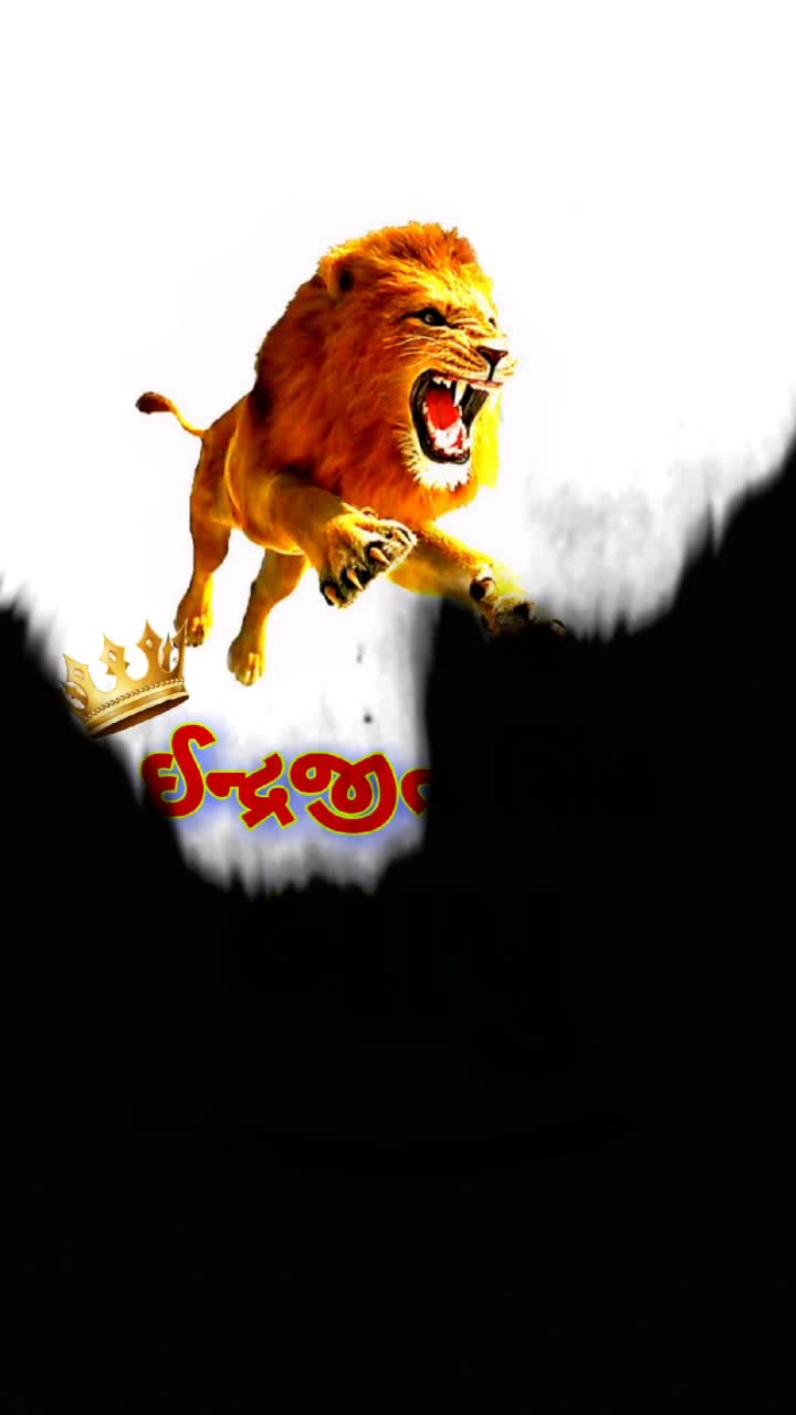 @Vaghela.Kalpesh