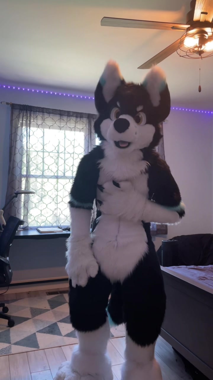 @⭐️KiwiFurSure⭐️