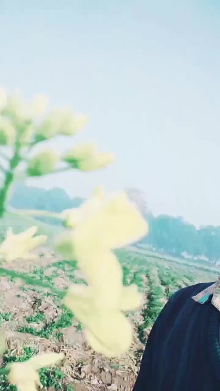 @Angrej_jhinjer