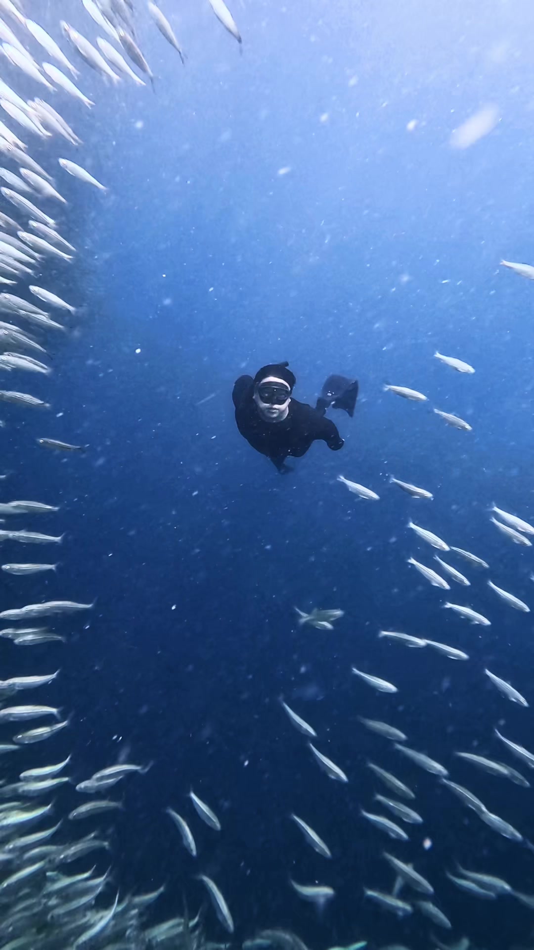 @Karlo