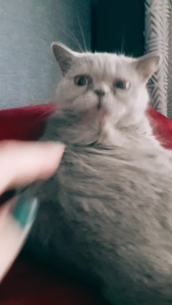 @Олеся