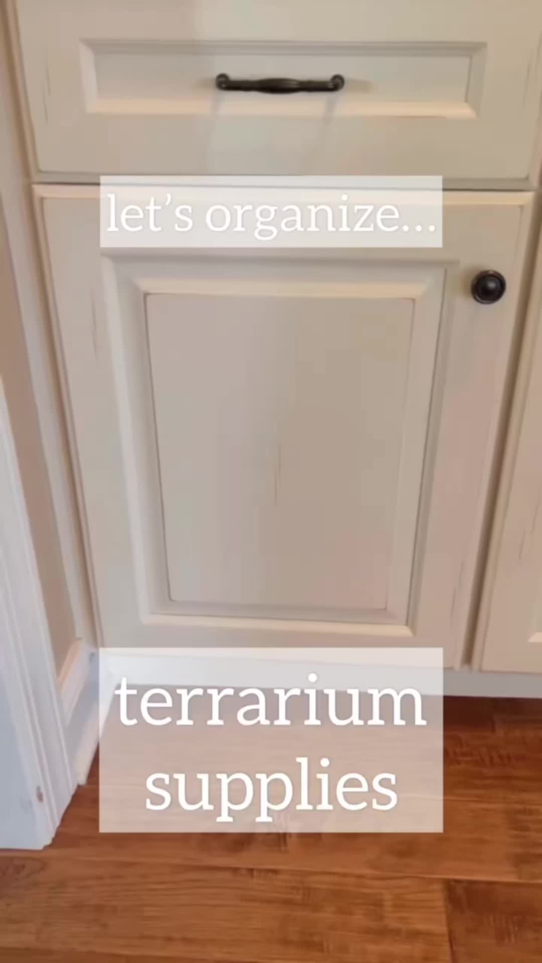 @michelle