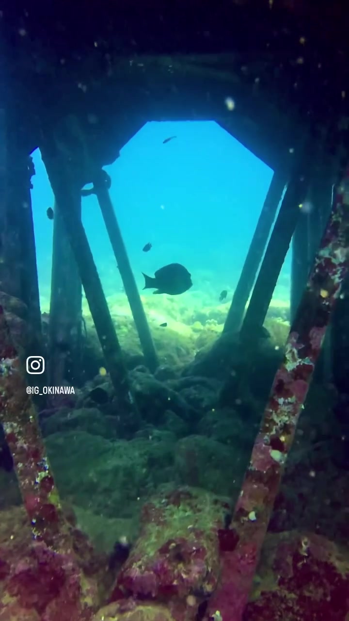 @IG_Okinawa