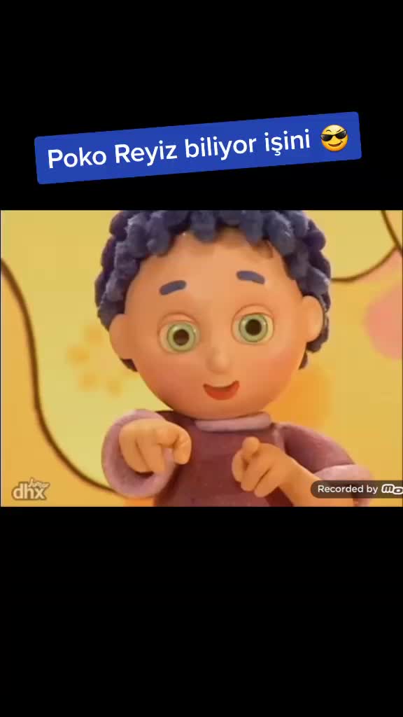 @Poko_Reyiz