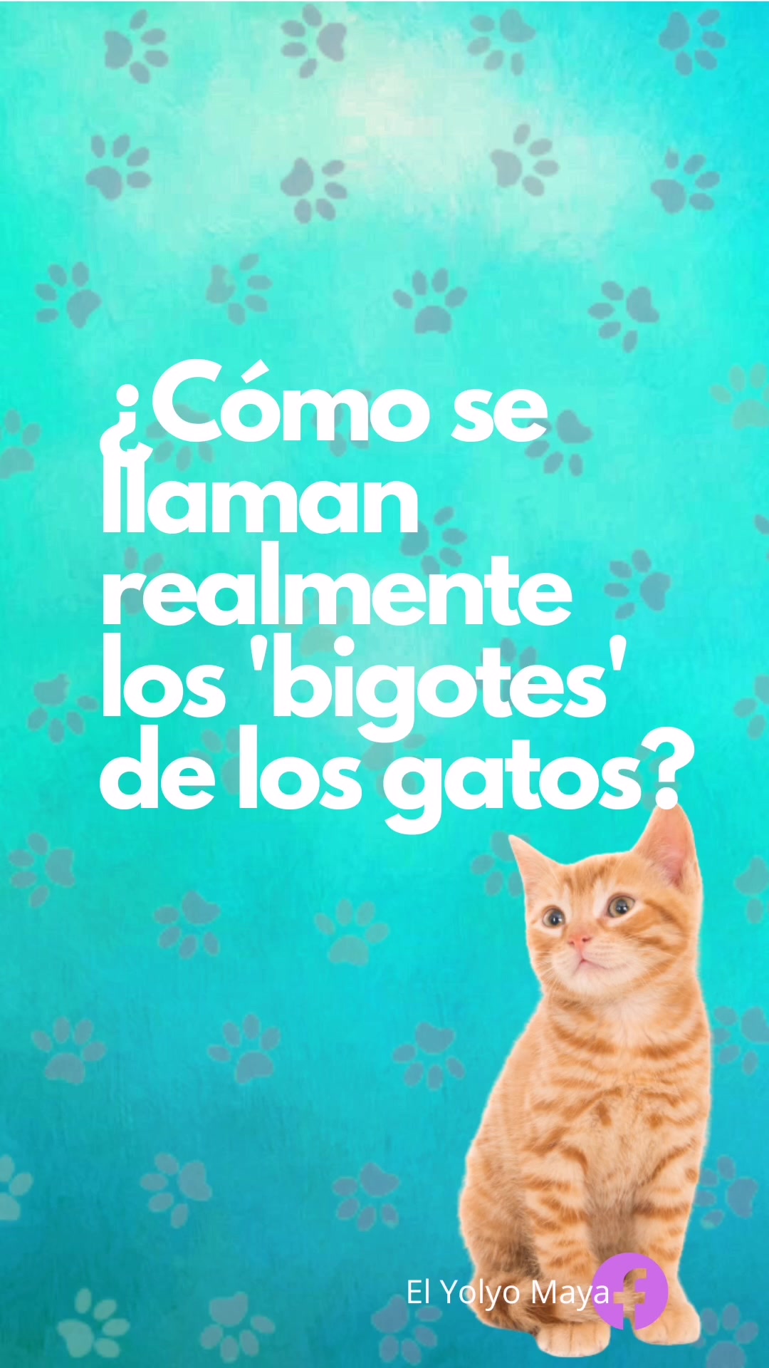 @Marel Alfaro Zúniga