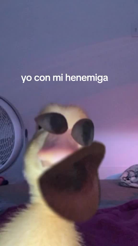 @mariana_montes0967