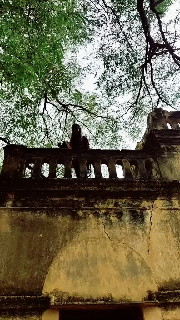 @naresh nani