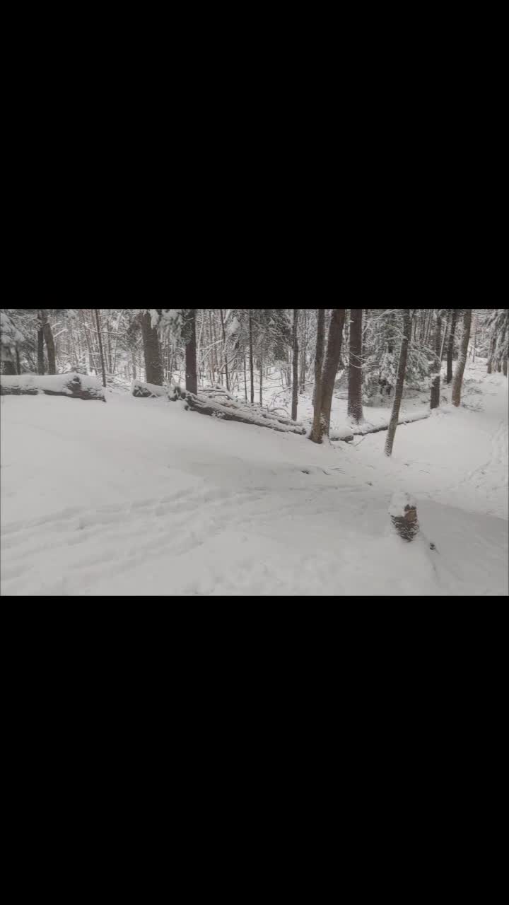 @Glen 🇨🇦